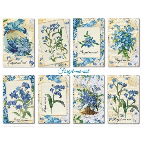 Decorer – Forget-me-not 7 x 10,8 cm (24 kpl)