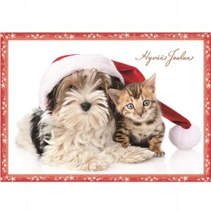 Joulukortti kissa ja koira 1-osainen