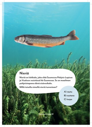 Tactic Suomen kaloja ja muita vesiotuksia tarrapuuhakirja - Image 2
