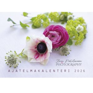 Seinäkalenteri 2026 Ilona Pietiläinen A4