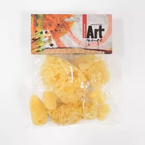 Sienisetti 7 erilaista