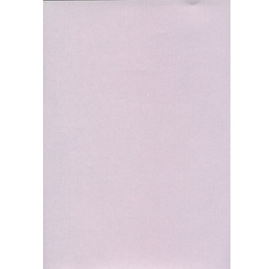 Helmiäispintainen askartelupaperi (molemminpuolinen) A4 - Image 6
