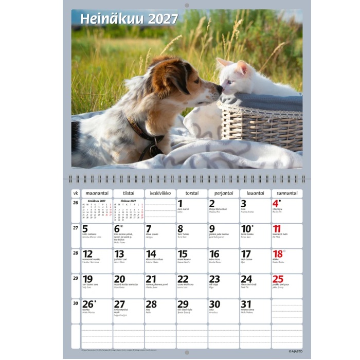 Ajasto Koirat seinäkalenteri 2027 - Image 2