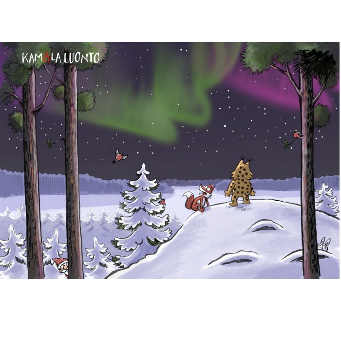 Kamala luonto adventtikalenteri Revontulet