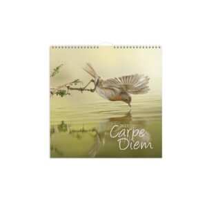 Burde Seinäkalenteri Carpe Diem 2027