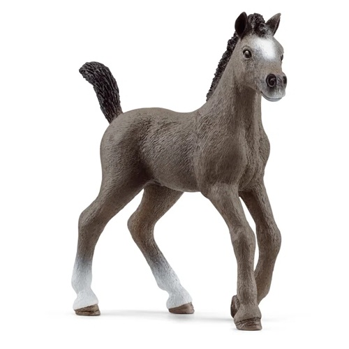 Schleich Cheval de Selle Fr. foal