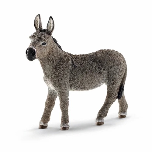 Schleich aasi