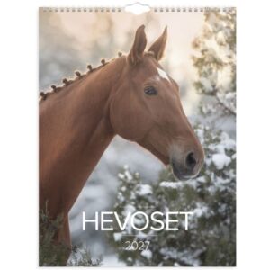 Burde Hevoset seinäkalenteri 2027