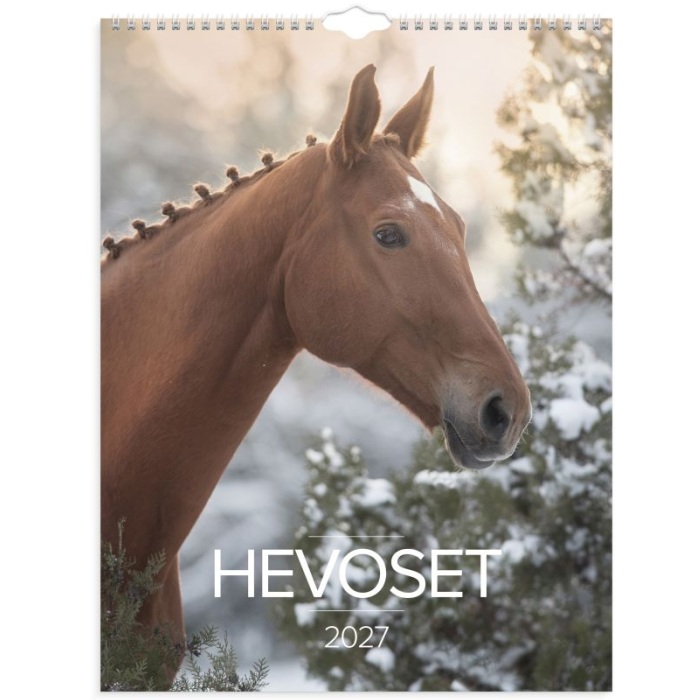 Burde Hevoset seinäkalenteri 2027