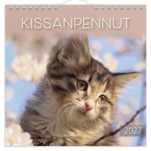 Burde pieni seinäkalenteri Kissanpennut 2027