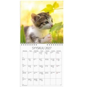 burde_pieni_seinakalenteri_2027_kissanpennut_7333420177070_lisakuva