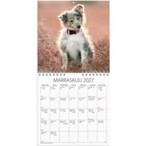 burde_pieni_seinakalenteri_2027_koiranpennut_7333420177179_lisakuva