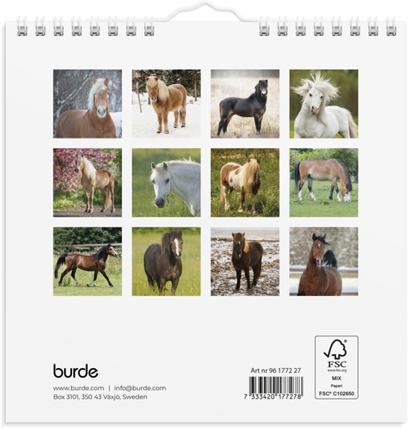 Burde pieni seinäkalenteri Ponit 2027 - Image 3